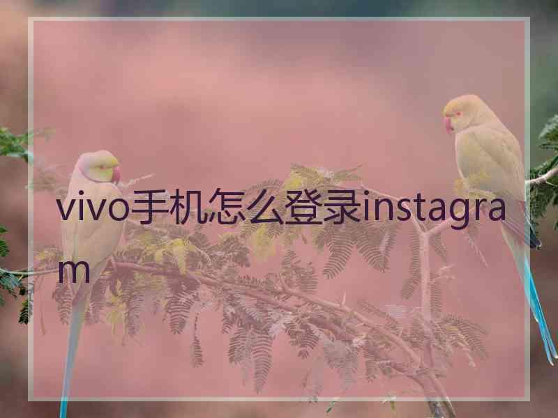 vivo手机怎么登录instagram