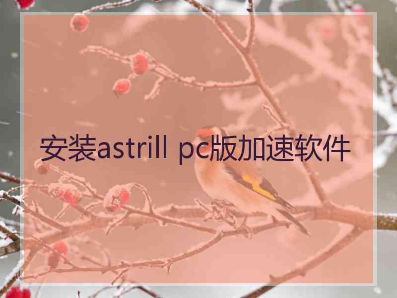 安装astrill pc版加速软件