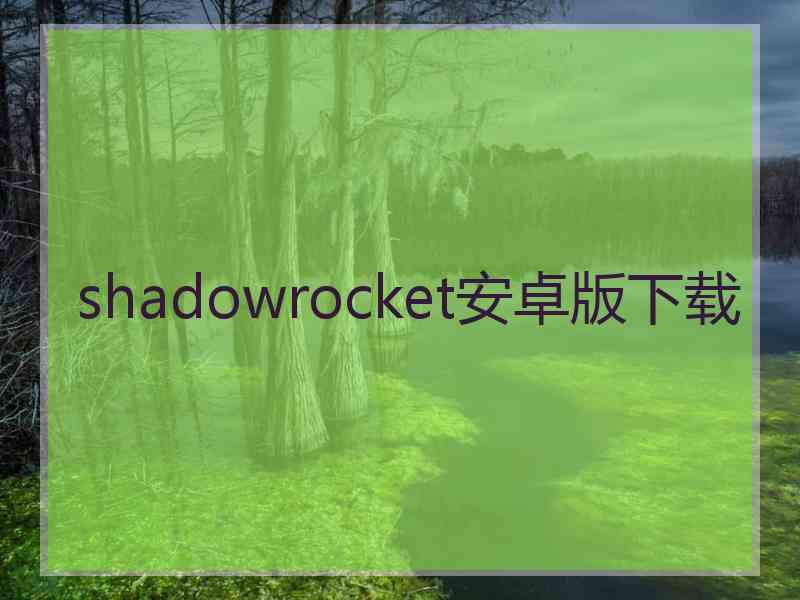 shadowrocket安卓版下载