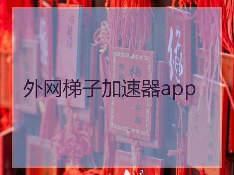 外网梯子加速器app