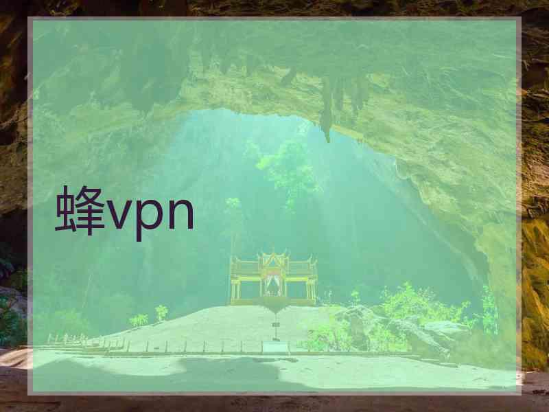 蜂vpn