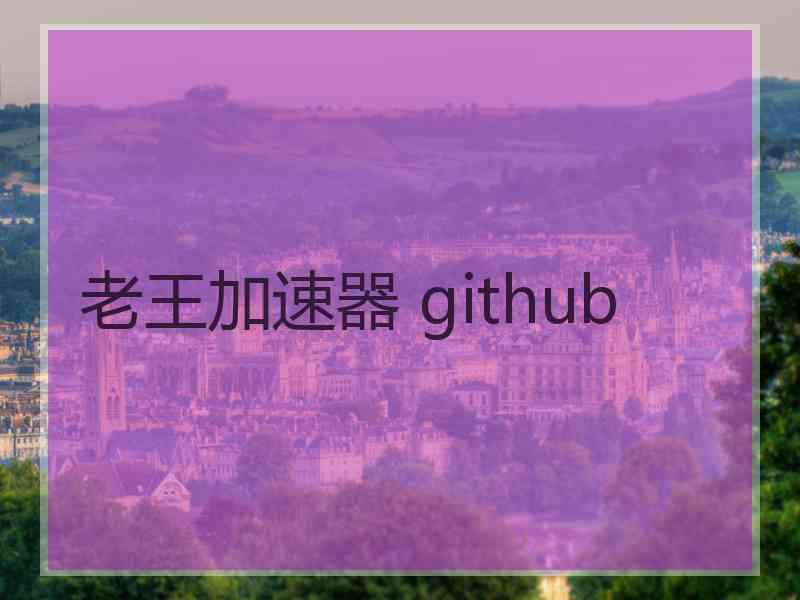 老王加速器 github