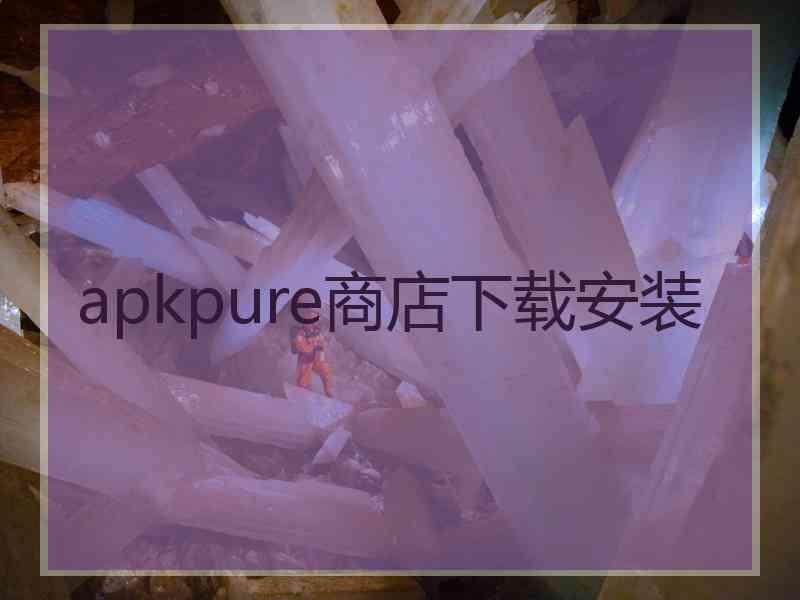 apkpure商店下载安装