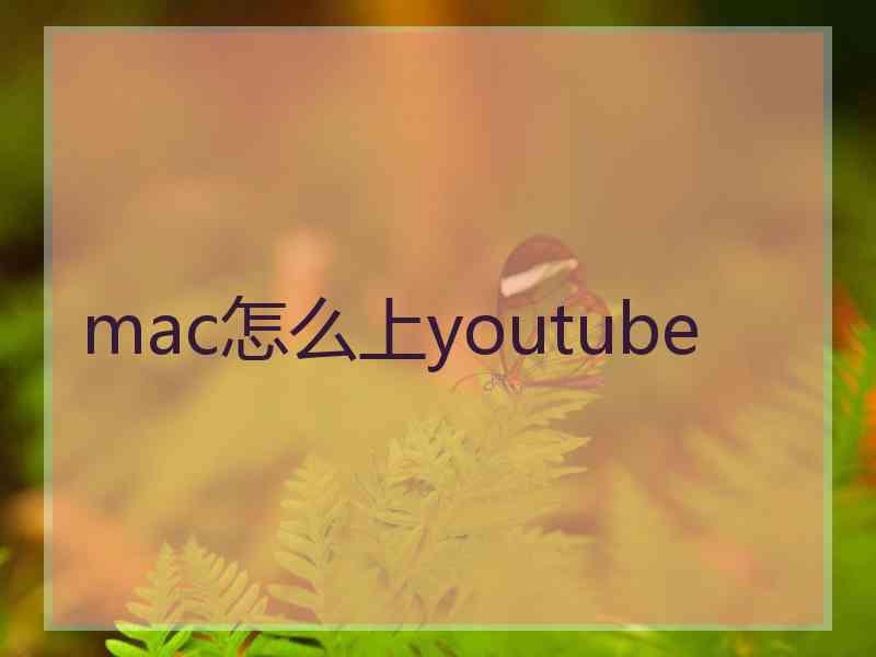 mac怎么上youtube