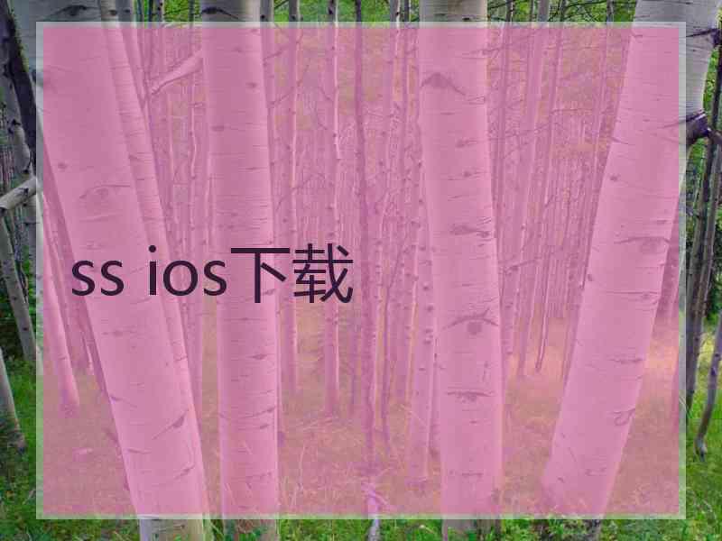 ss ios下载