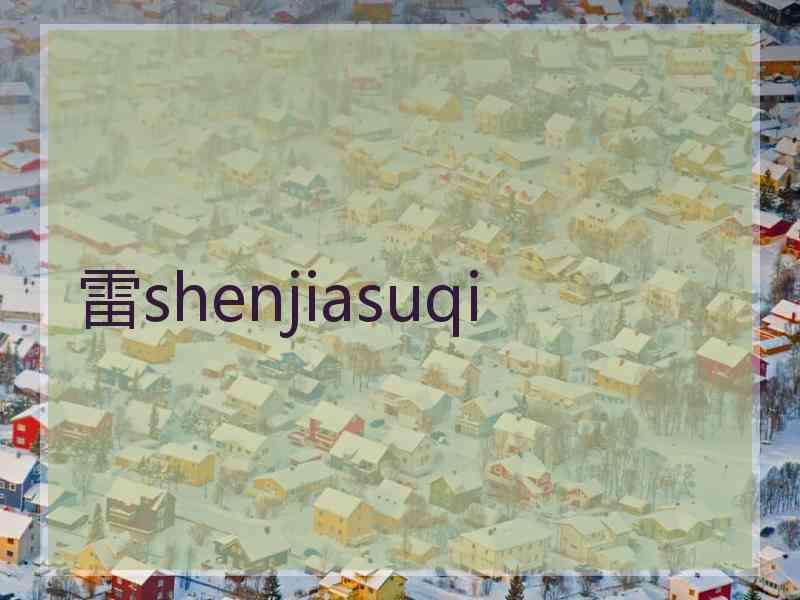 雷shenjiasuqi