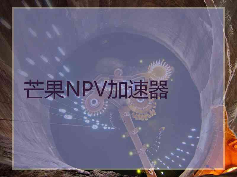 芒果NPV加速器