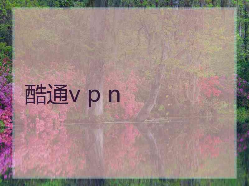 酷通v p n