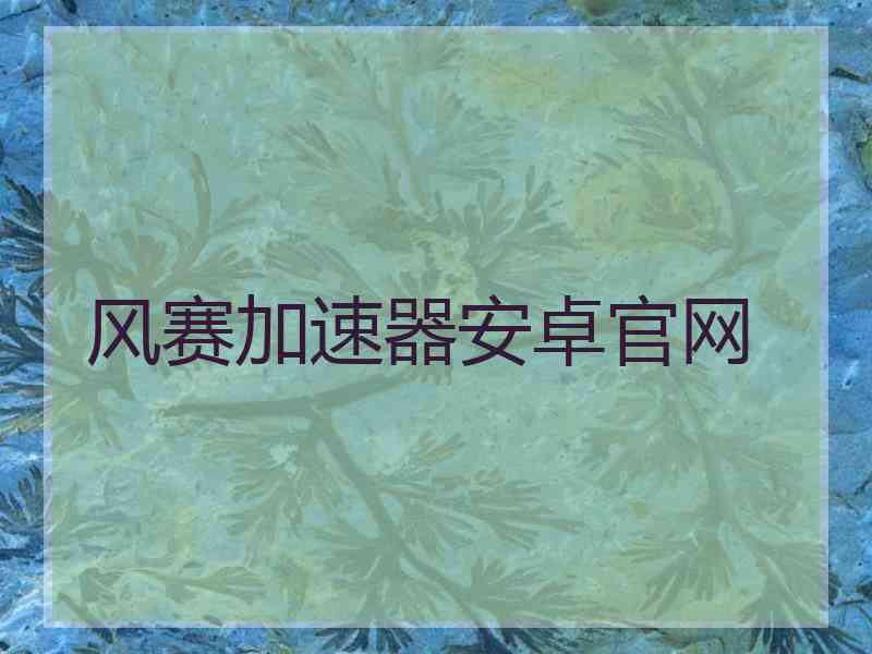 风赛加速器安卓官网