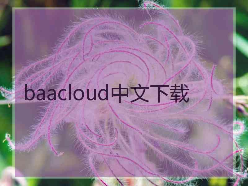 baacloud中文下载