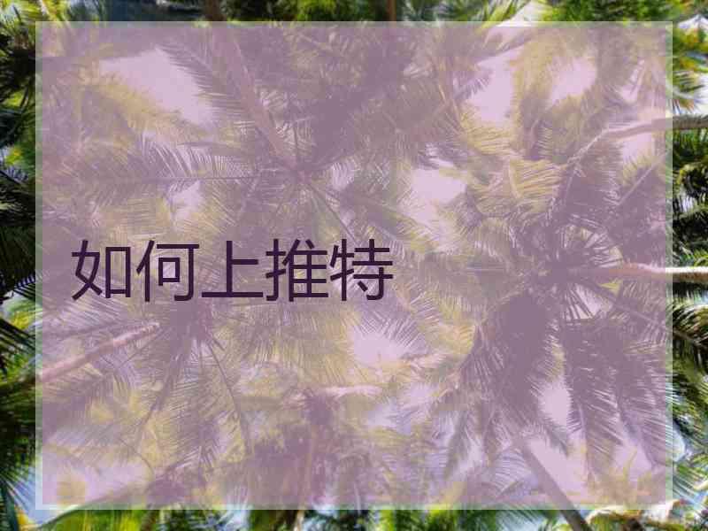 如何上推特