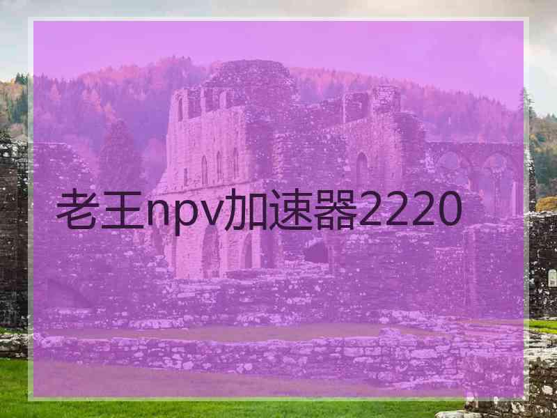 老王npv加速器2220