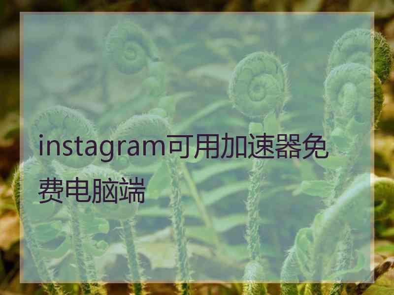 instagram可用加速器免费电脑端