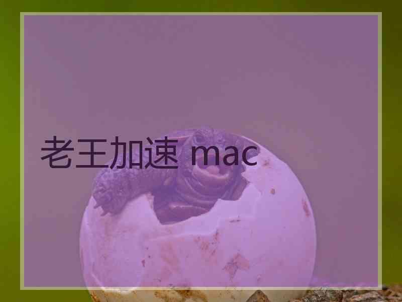 老王加速 mac