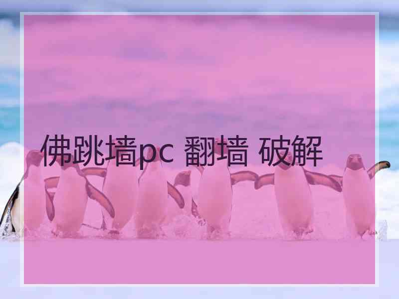 佛跳墙pc 翻墙 破解