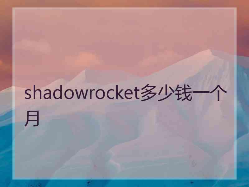 shadowrocket多少钱一个月