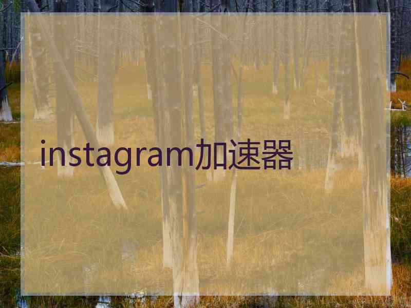 instagram加速器