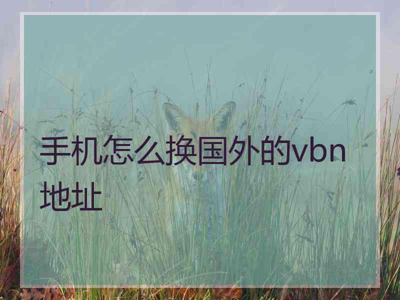 手机怎么换国外的vbn地址