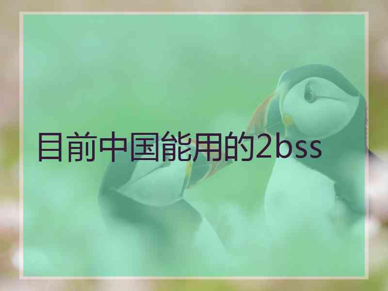 目前中国能用的2bss