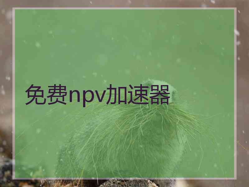 免费npv加速器