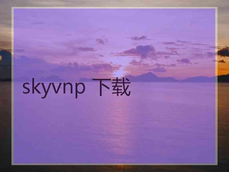 skyvnp 下载