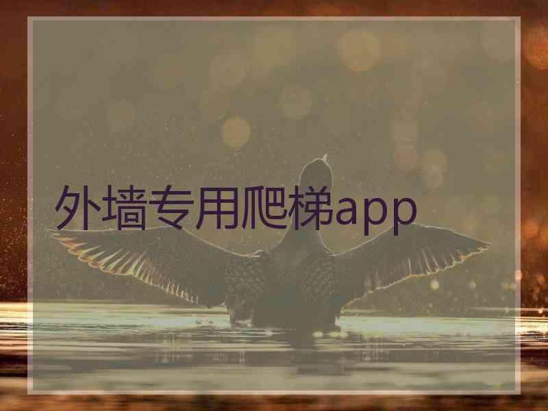 外墙专用爬梯app