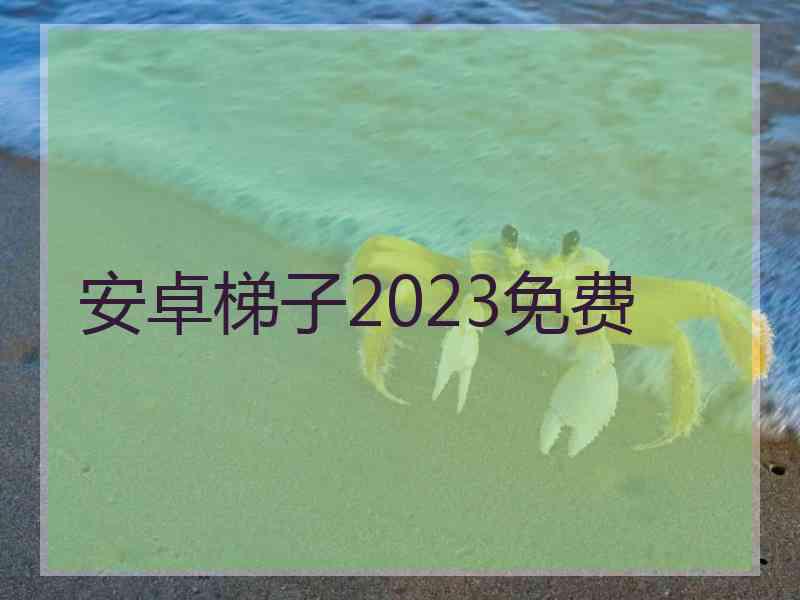 安卓梯子2023免费