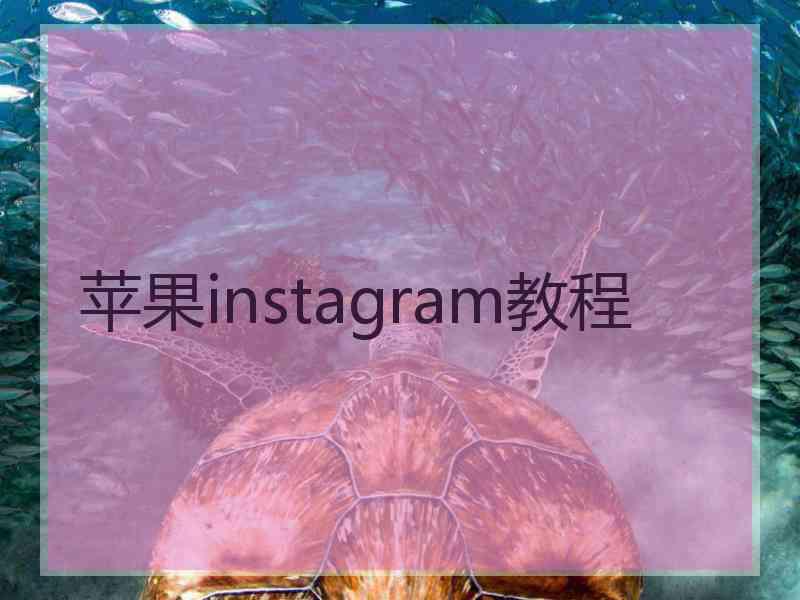 苹果instagram教程