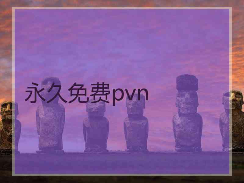 永久免费pvn