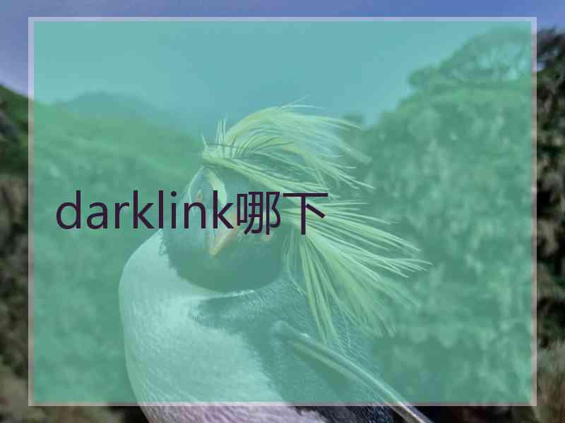 darklink哪下