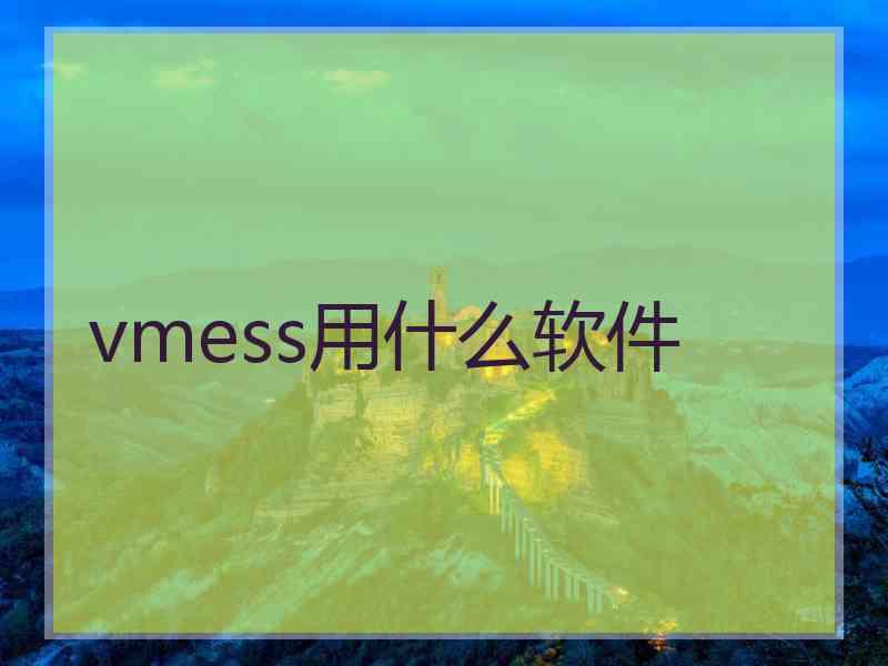 vmess用什么软件