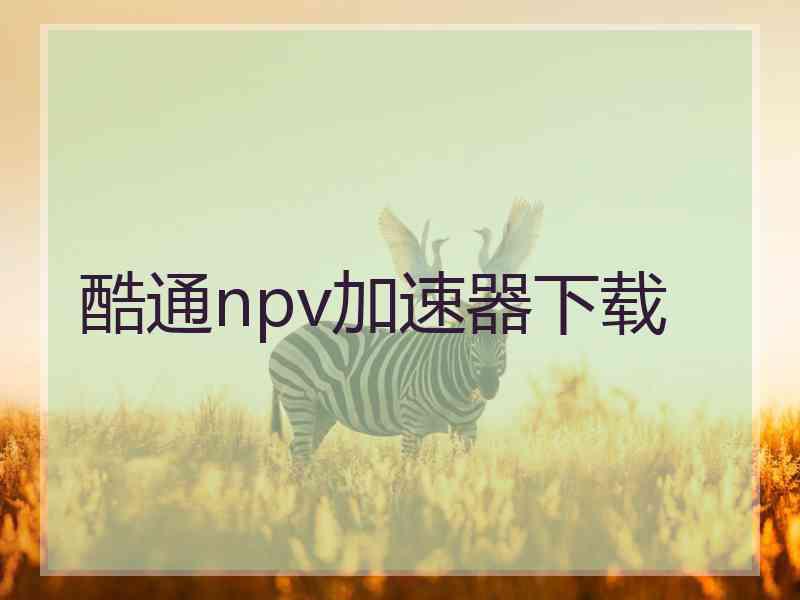 酷通npv加速器下载