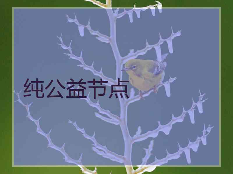 纯公益节点