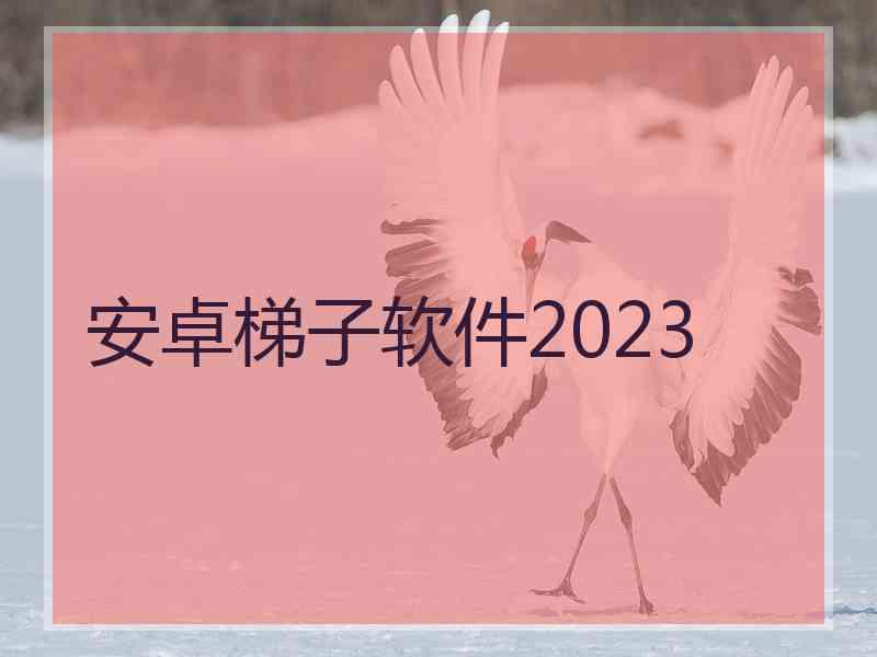 安卓梯子软件2023