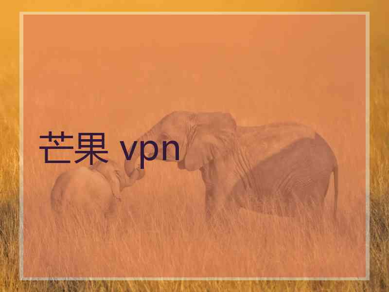 芒果 vpn