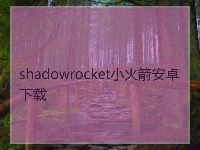 shadowrocket小火箭安卓下载