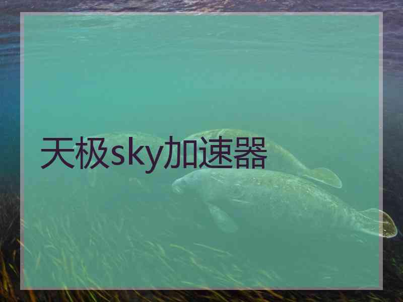 天极sky加速器