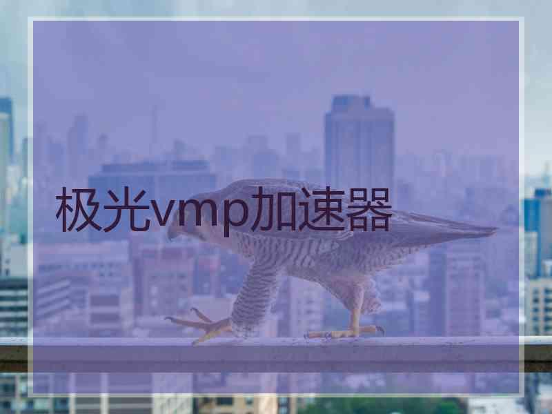 极光vmp加速器