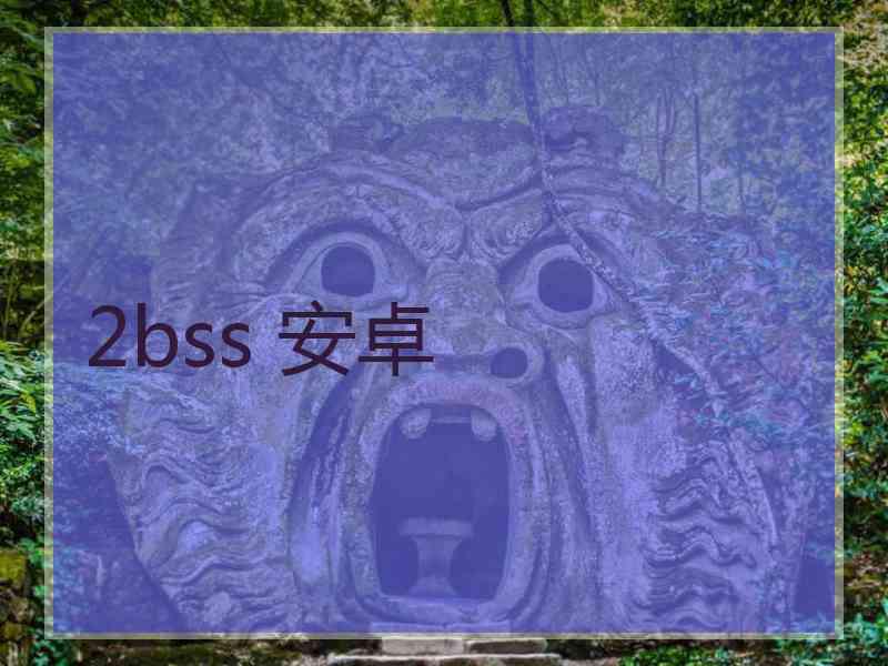 2bss 安卓