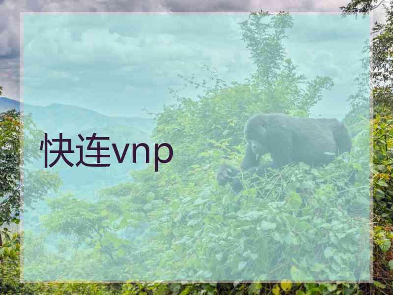 快连vnp