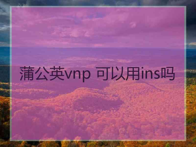 蒲公英vnp 可以用ins吗