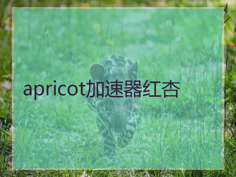 apricot加速器红杏