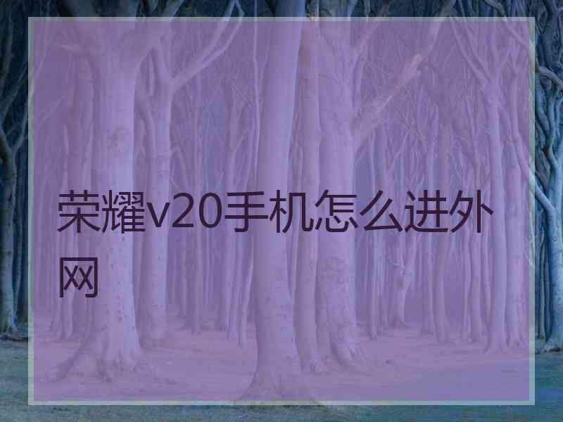 荣耀v20手机怎么进外网