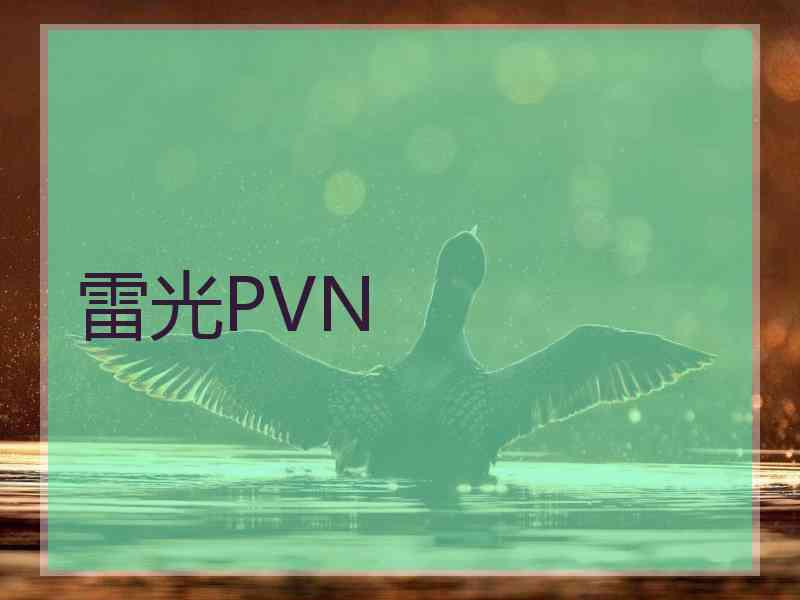 雷光PVN