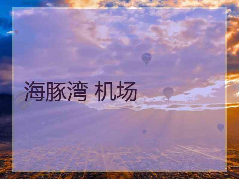 海豚湾 机场