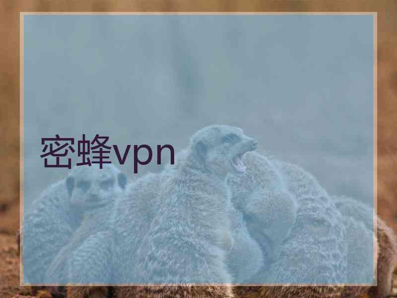 密蜂vpn