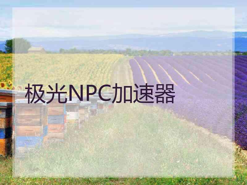 极光NPC加速器