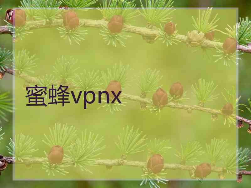 蜜蜂vpnx