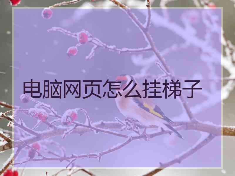 电脑网页怎么挂梯子