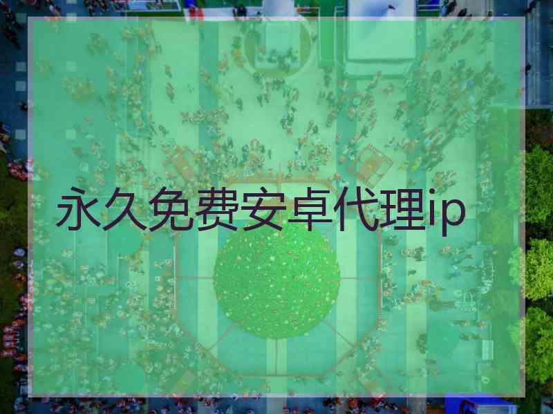 永久免费安卓代理ip